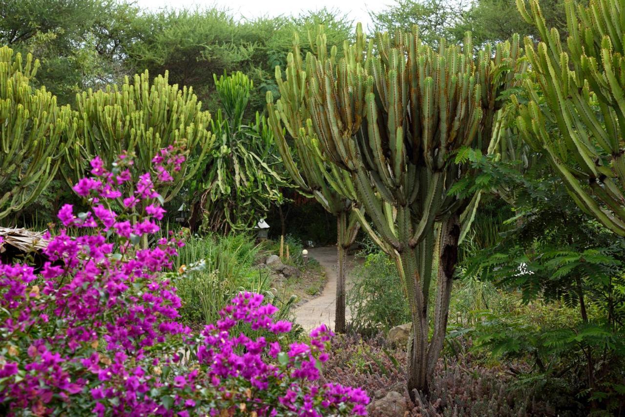 Kia Lodge Arusha Eksteriør bilde